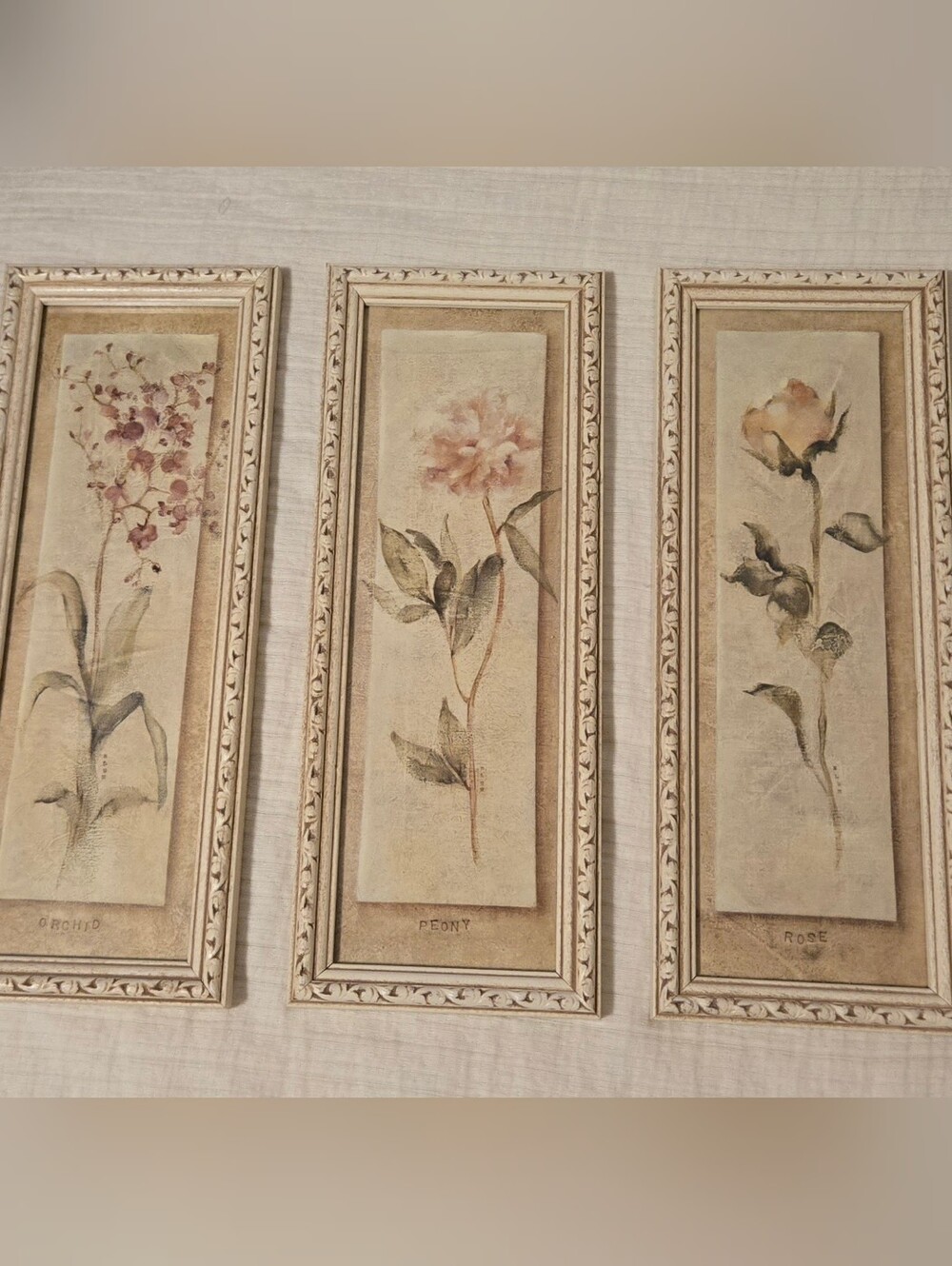 3 Cheri Blum Framed Wall Art Orchid Peony Rose Flower Garden 13x5 in